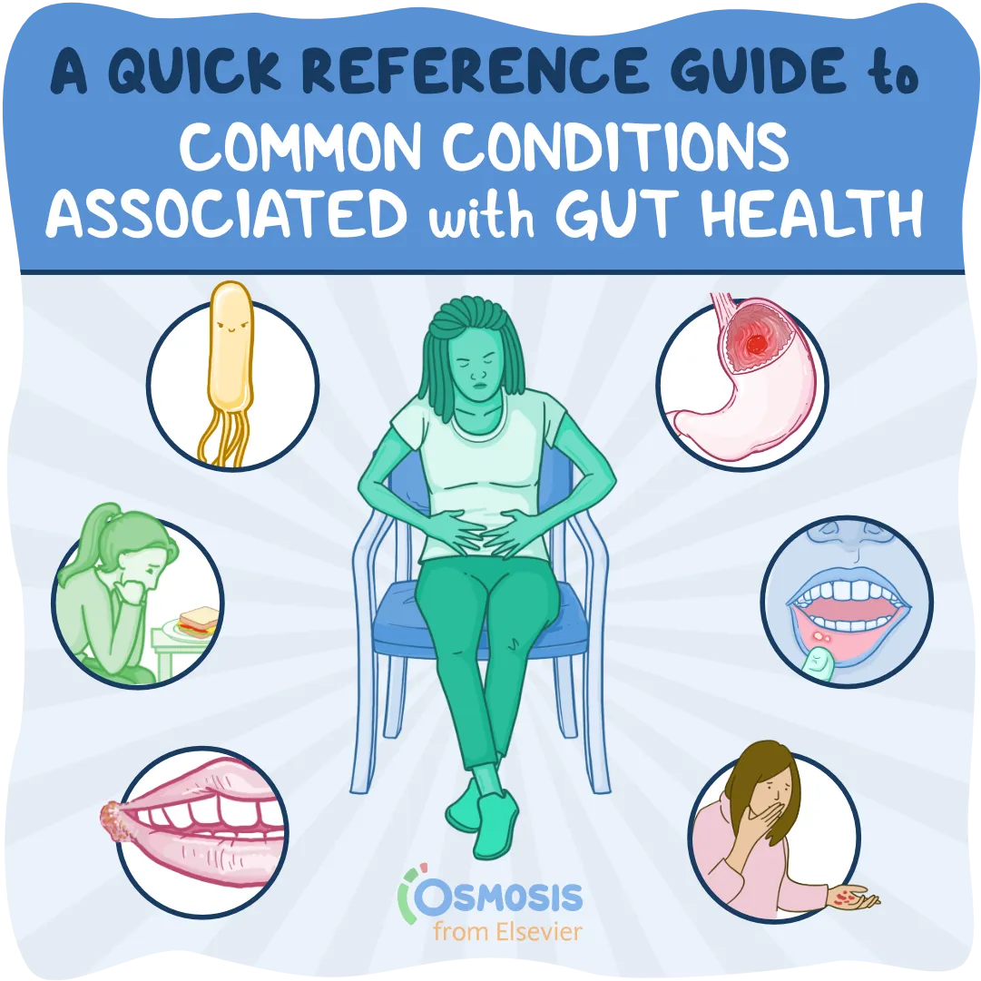 A Quick Reference Guide to Common Conditions Associated with Gut Health