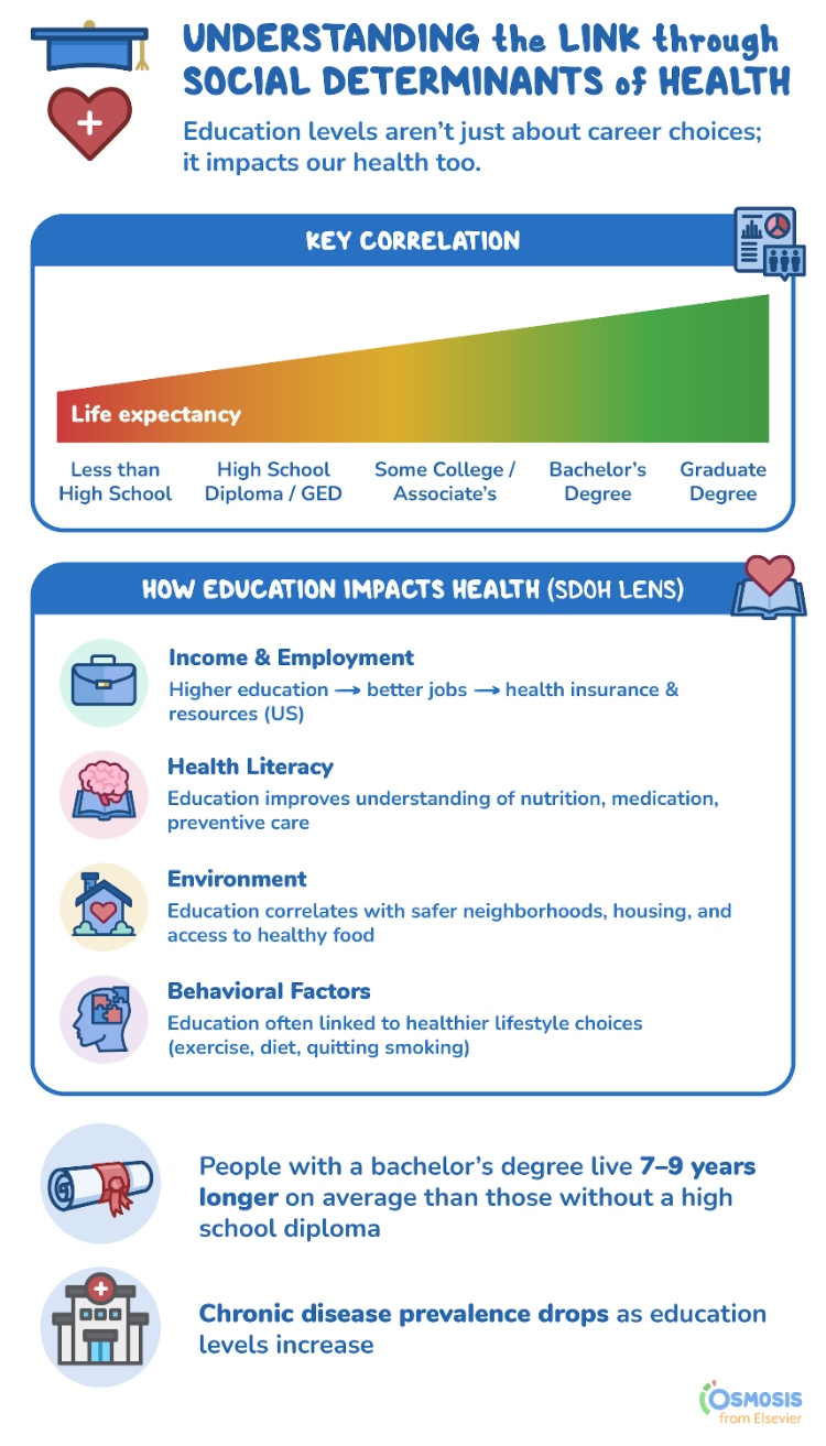 Social Determinants of Health: Education Access and Quality - Osmosis Blog