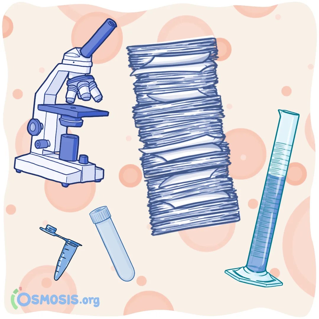 An illustration of How to Find Research Opportunities in Medical School