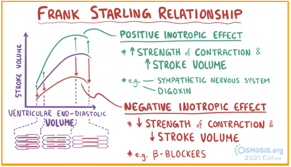 usmle-step-1-question-of-the-day-frank-starling-curve-osmosis-blog