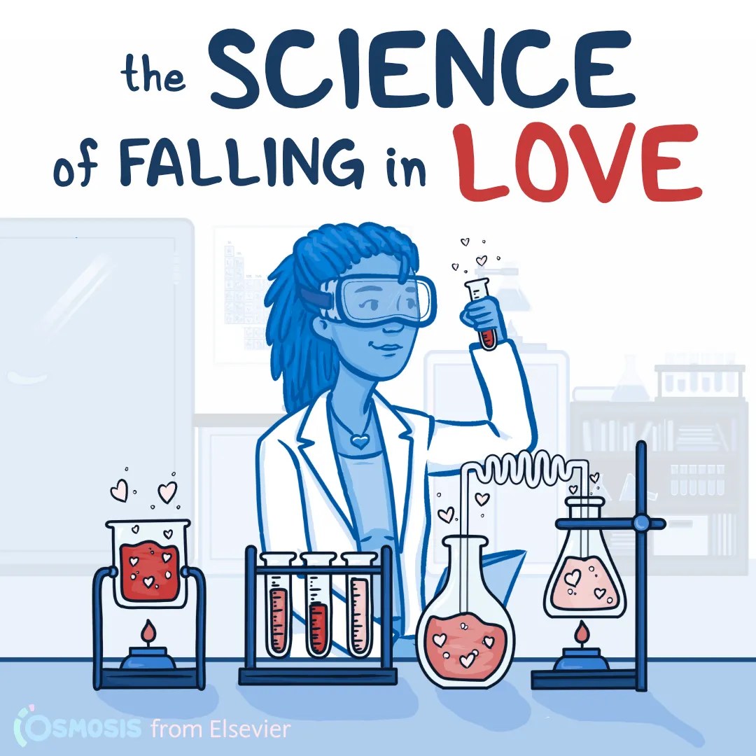 The Science of Love: How our bodies help determine attraction and commitment