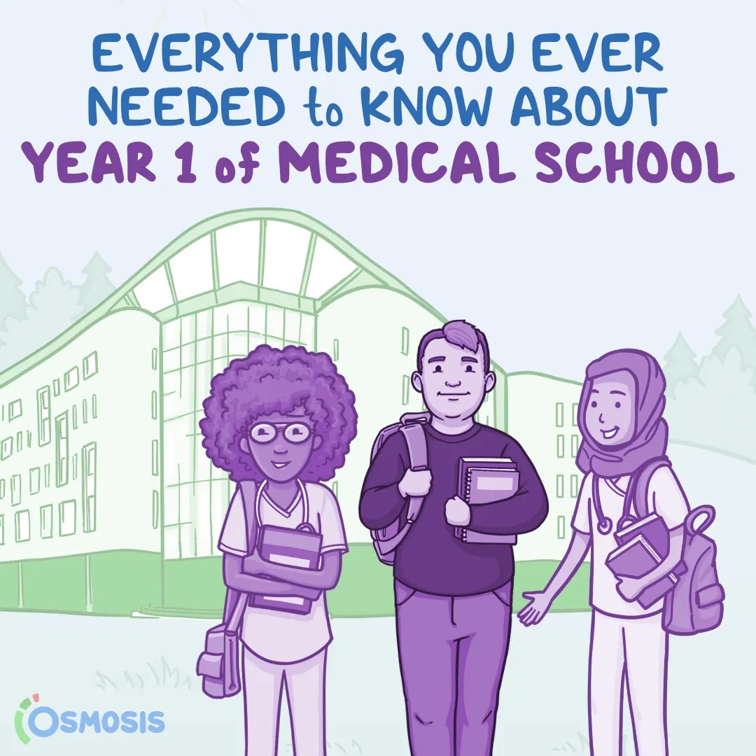 Everything You Ever Needed to Know About Year 1 of Medical School