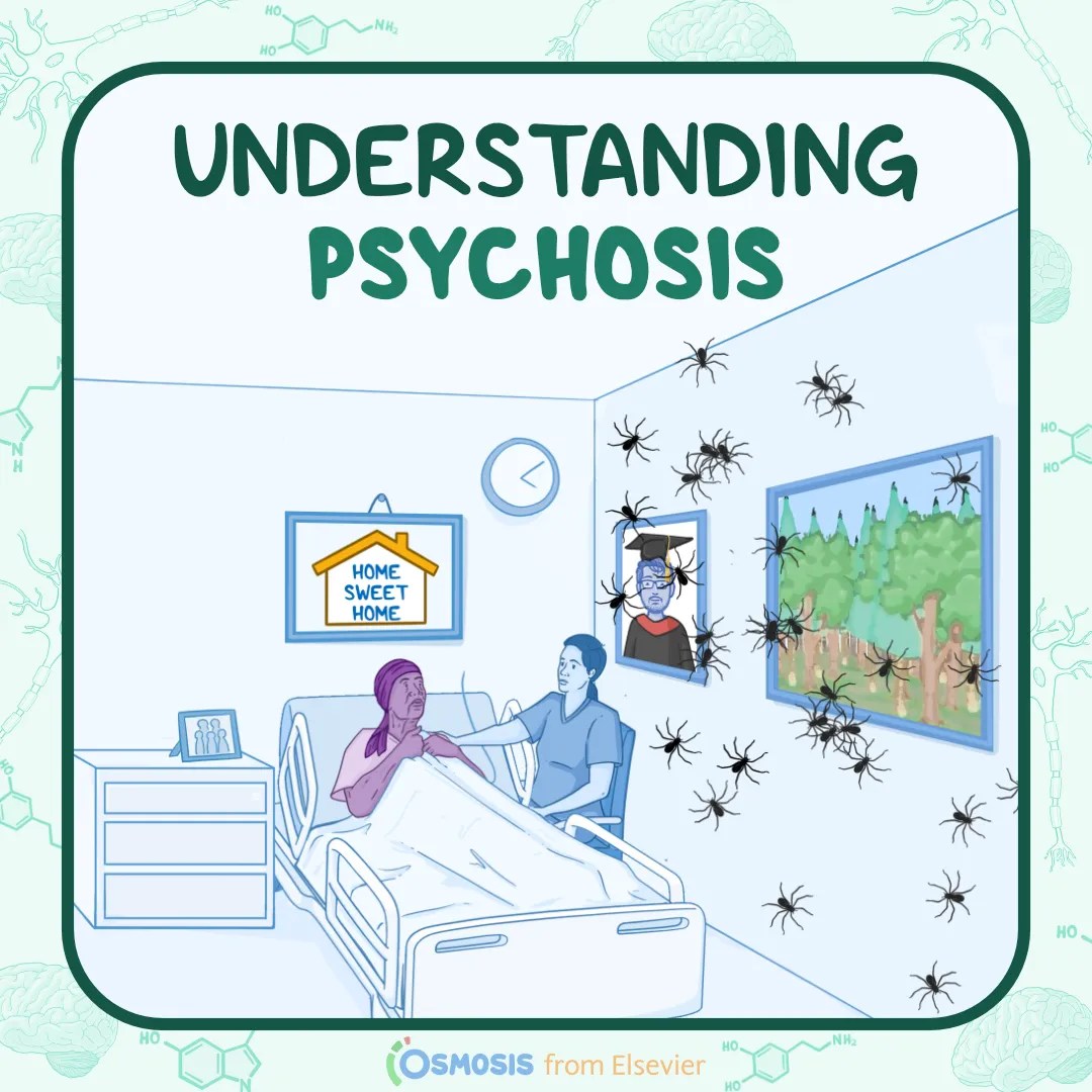 Understanding Psychosis: A helpful guide for health professionals