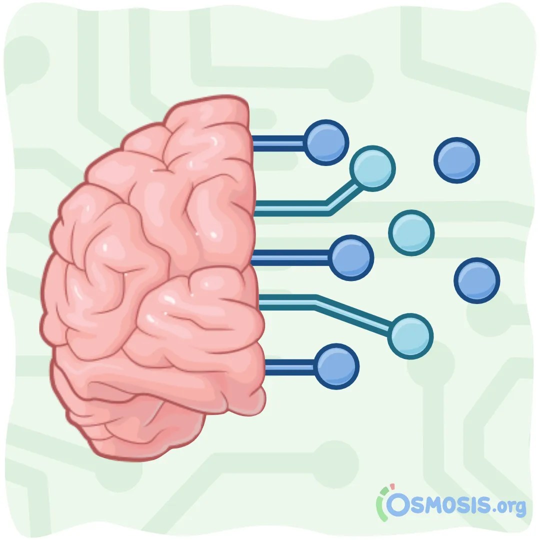 What is elaborative rehearsal? An Osmosis Guide