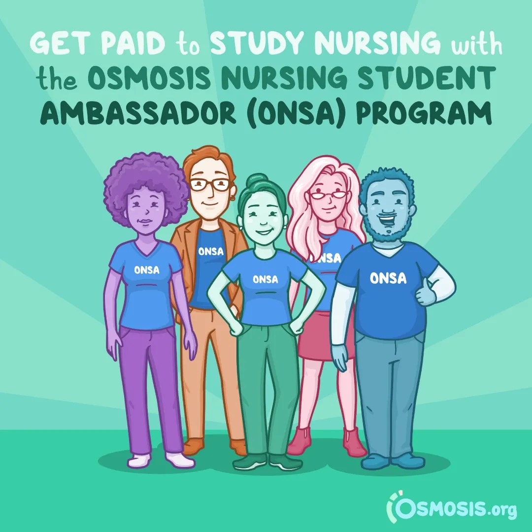 Get Paid to Study Nursing with the Osmosis Student Nurse Ambassador (ONSA) Program