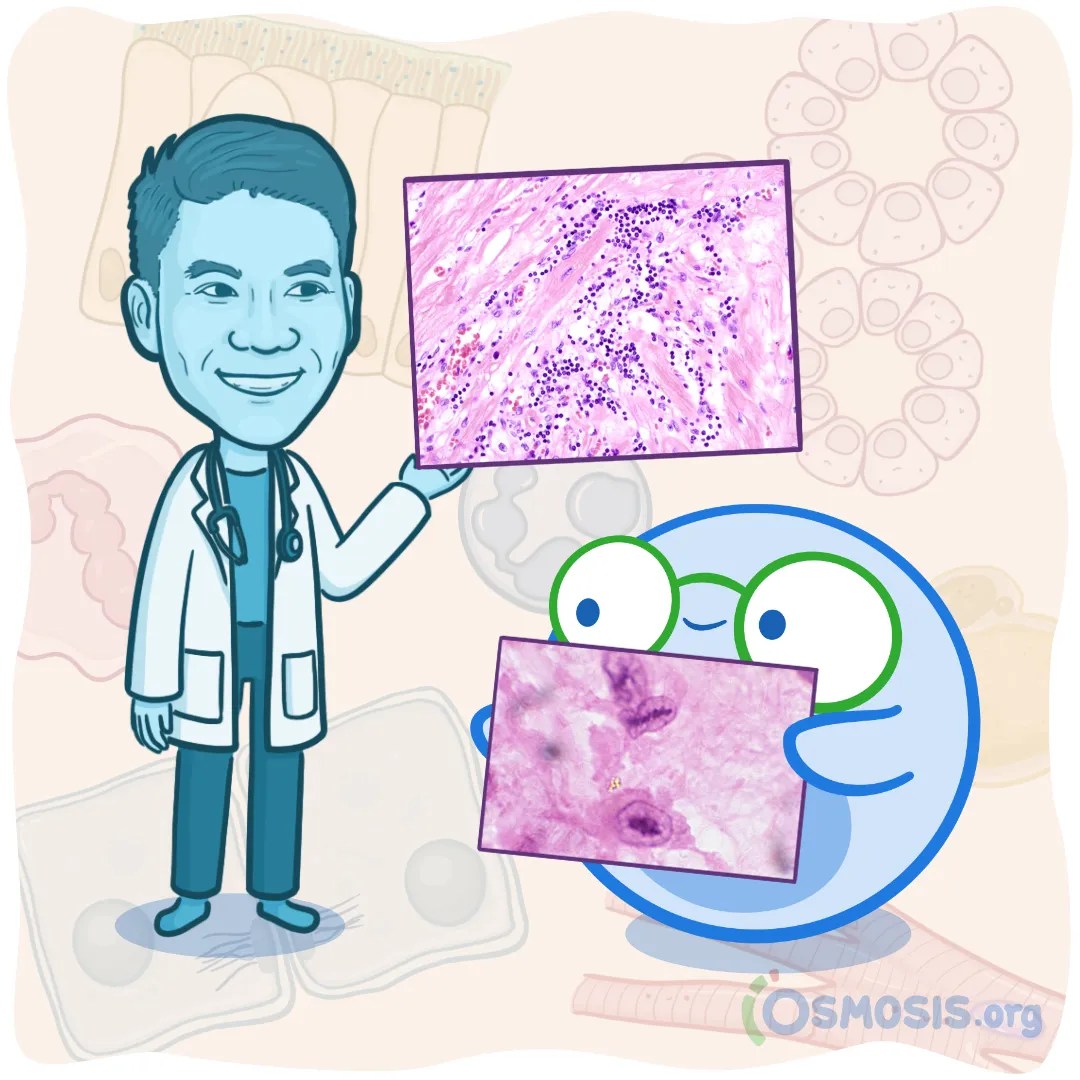 Learn Histology with Videos on Osmosis