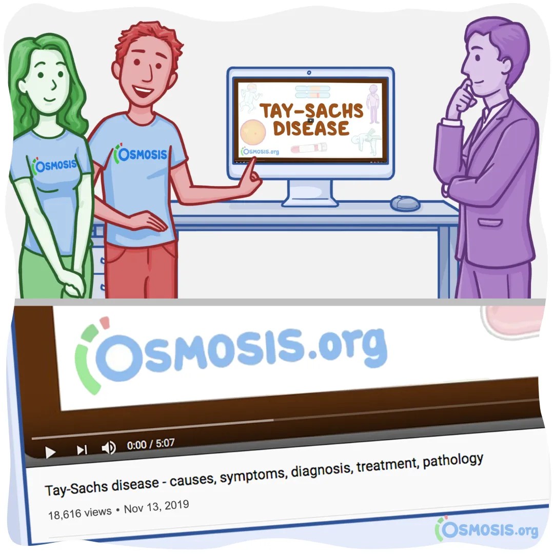 Diffusion Studios: Create Osmosis-Style Videos for Your Organization
