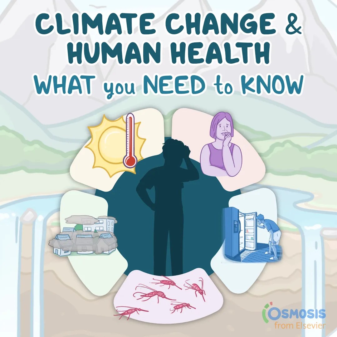 Climate Change and Human Health: What You Need to Know
