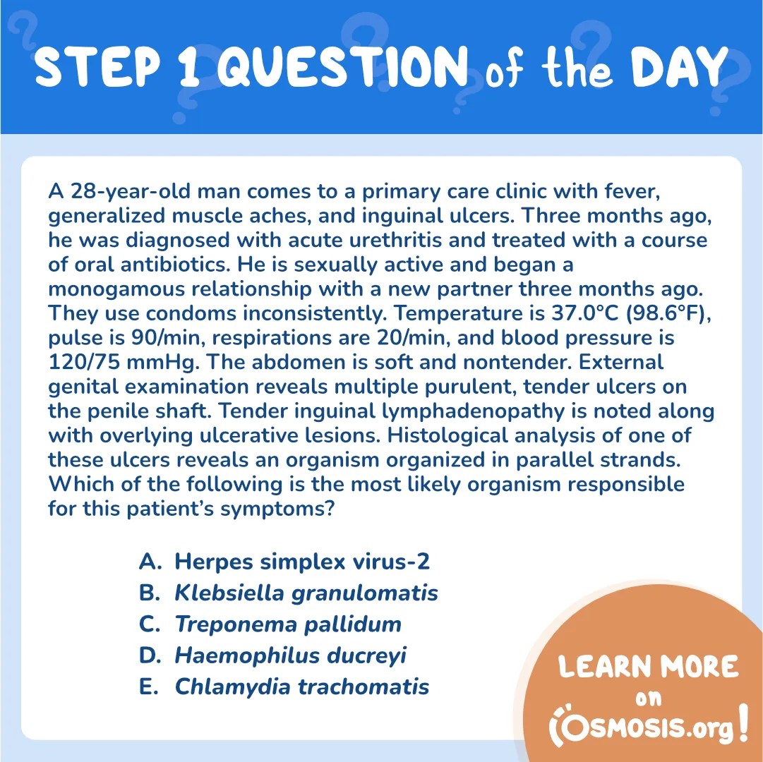 USMLE Step 1 Question of the Day Chancroid