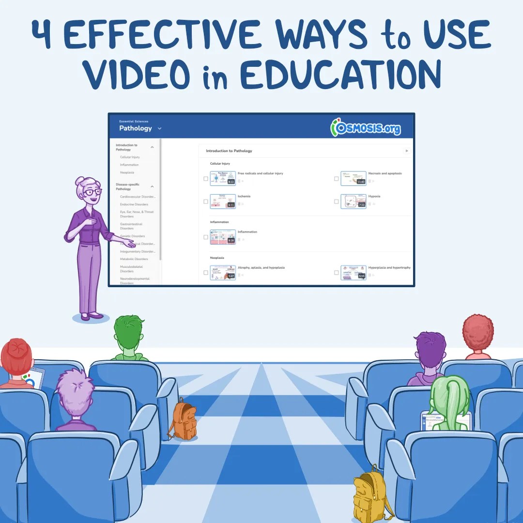 4 Effective Ways to Use Videos in Education