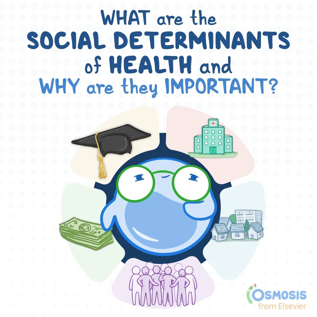 What Are the Social Determinants of Health and Why Are They Important?