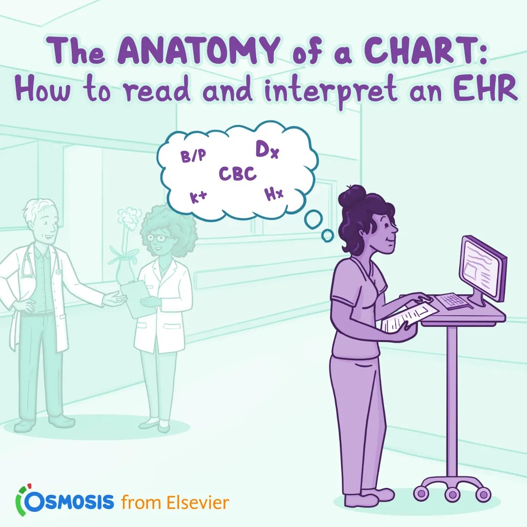 The Anatomy of a Chart: How to read and interpret an EHR