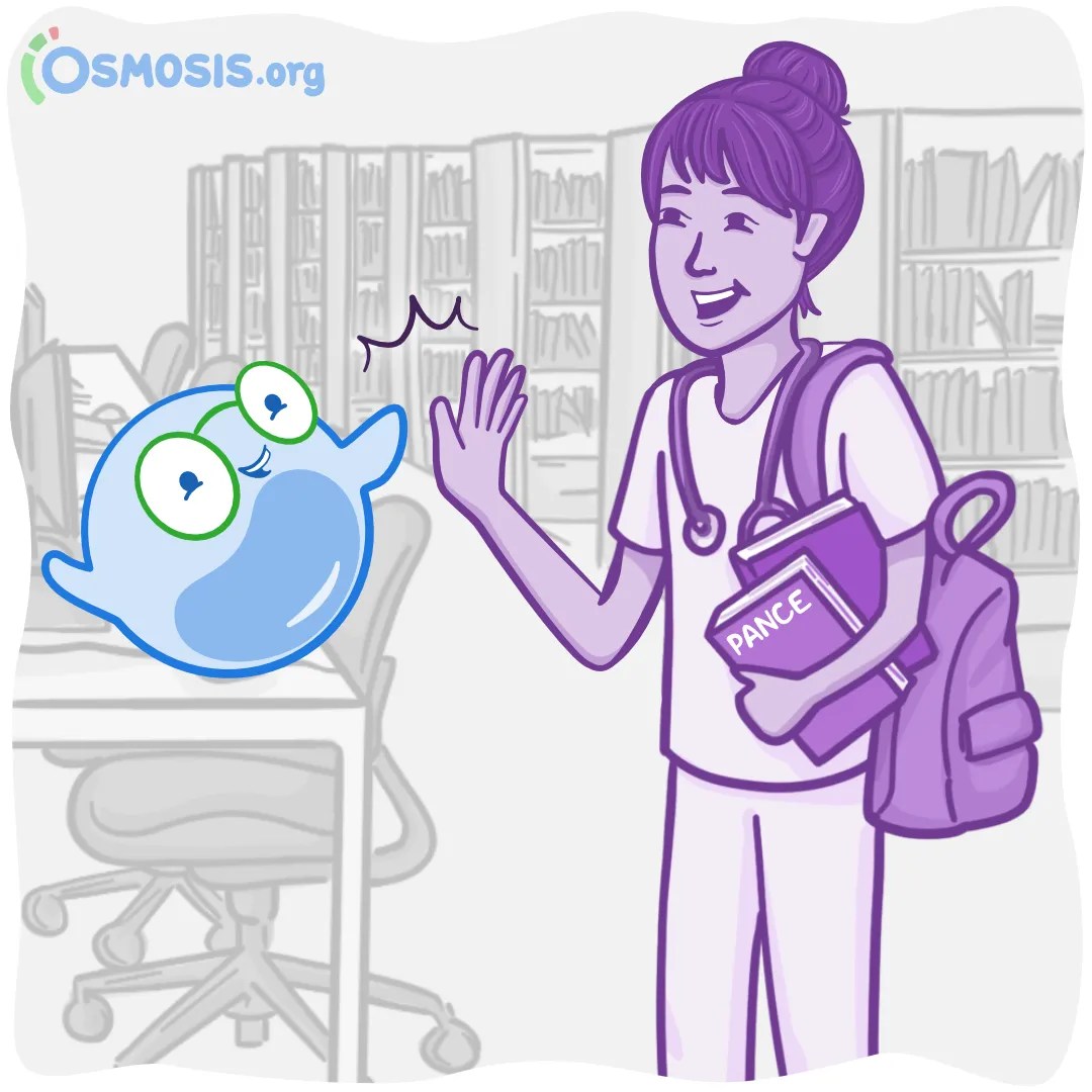 PANCE® Review Essentials: The Osmosis Ultimate Guide