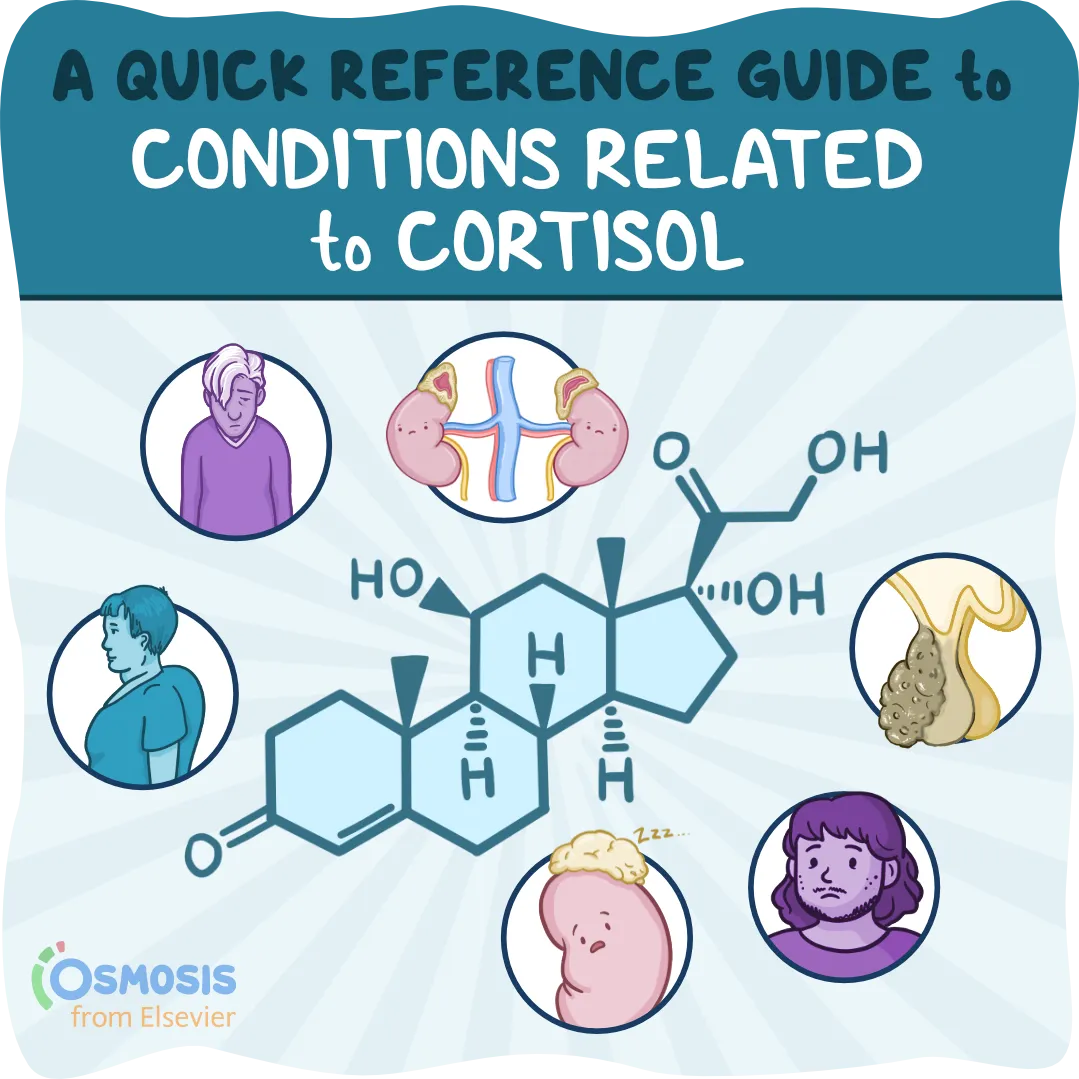 A Quick Reference Guide to Conditions Related to Cortisol