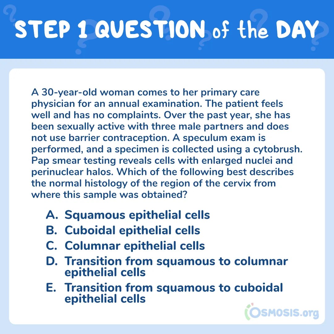 USMLE® Step 1 Question of the Day: Cervix