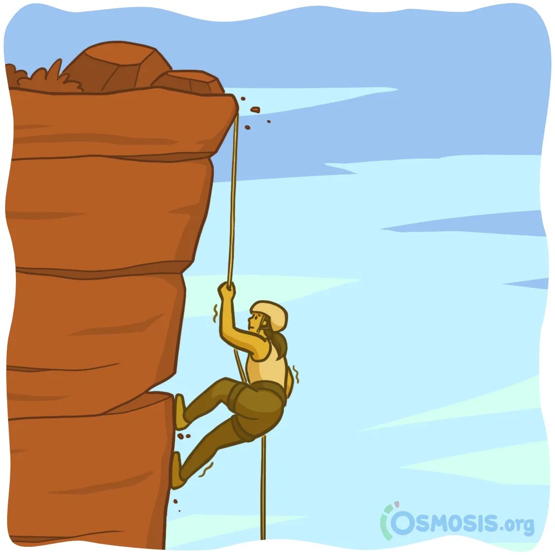 Prepare for Med School With These Best Learning Strategies (and Avoid Falling Off the Cliff)