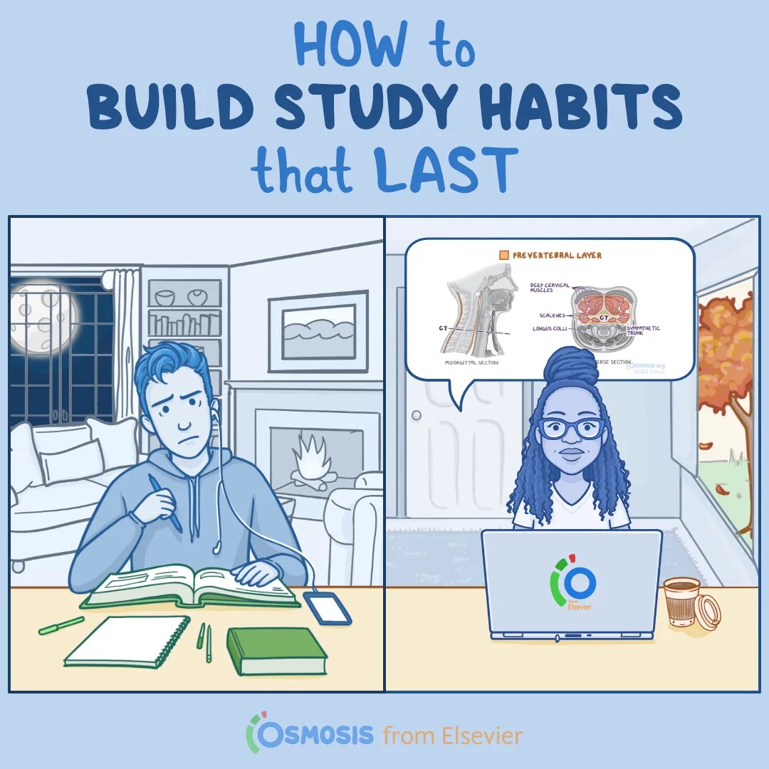 How to Build Study Habits That Last