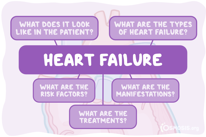 Osmosis.org style illustration concept map of heart failure connecting its causes and pathophysiology with clinical signs and symptoms, diagnostic findings, and treatment approaches.