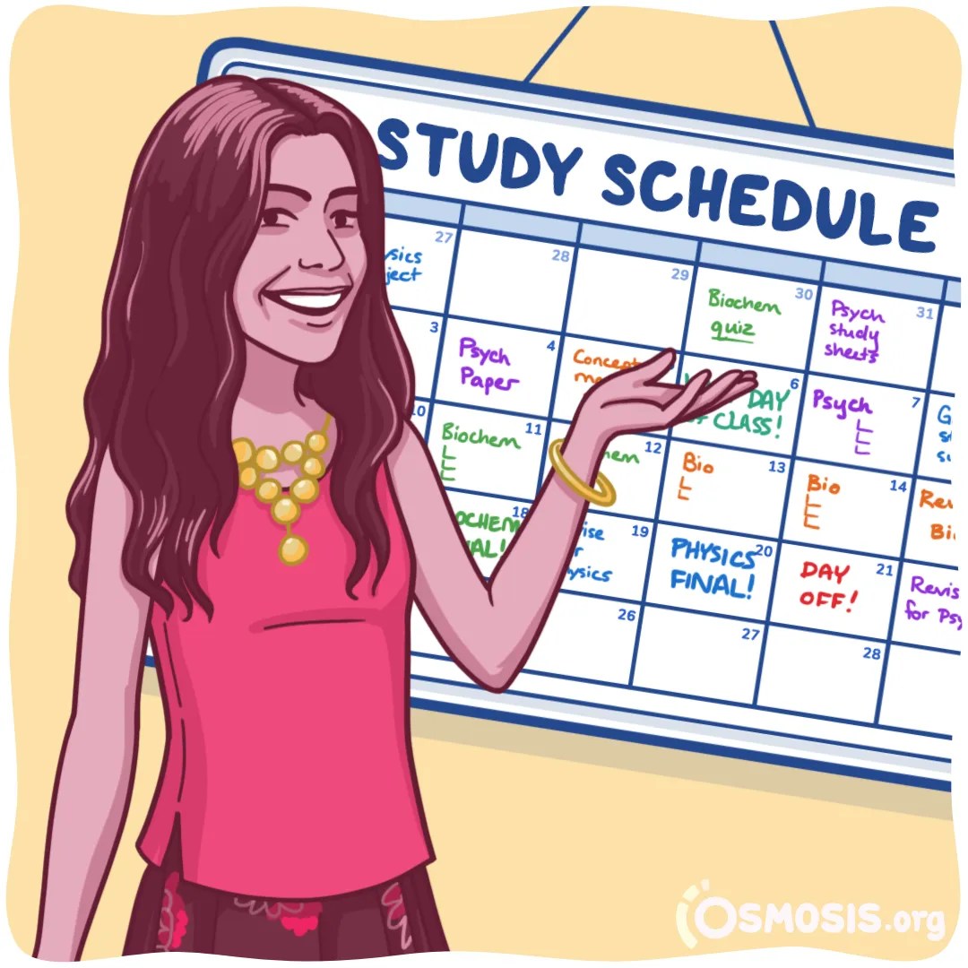 How to Plan For USMLE® Step 1 Dedicated Study Period