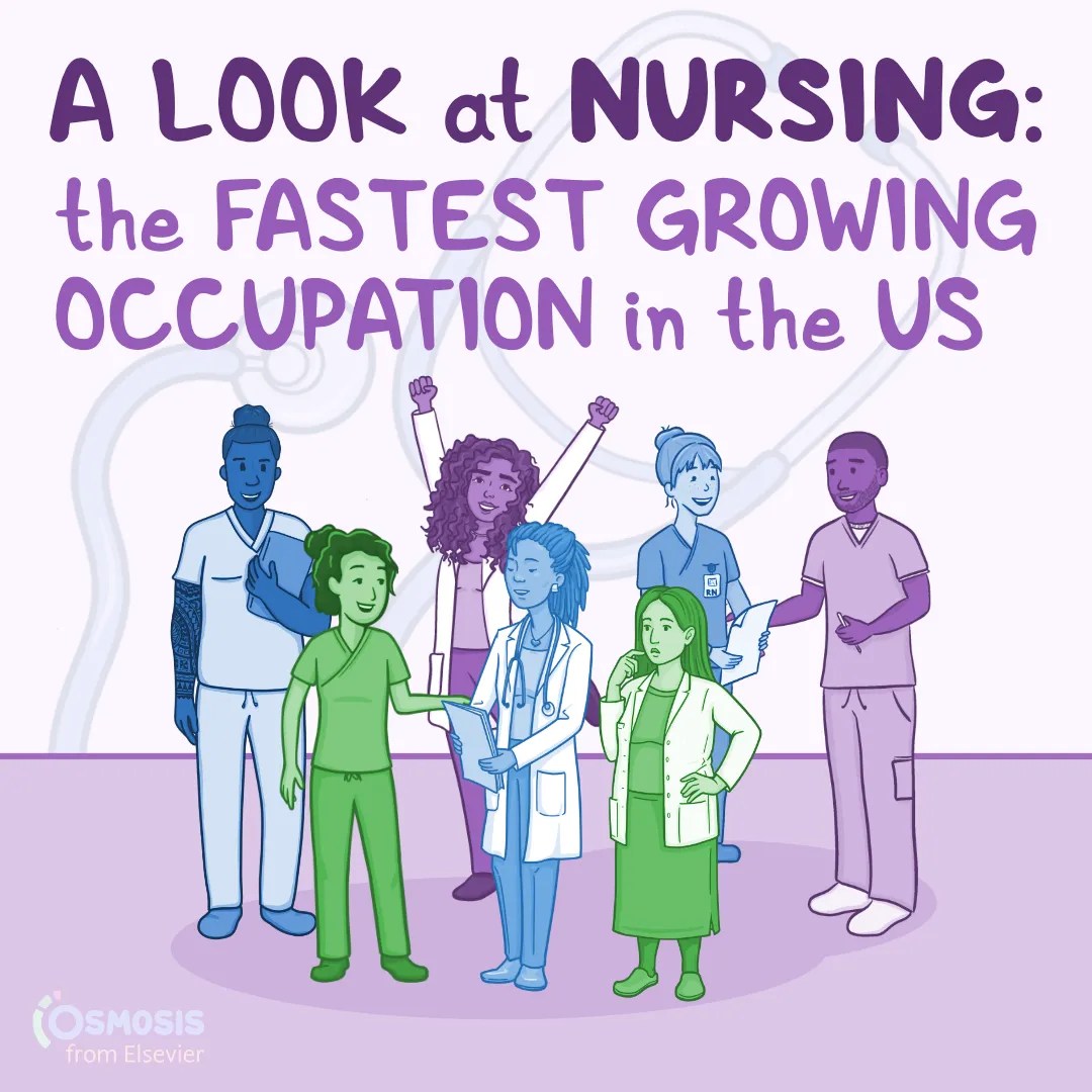 A Look at Nursing: The fastest growing occupation in the US [Infographic]
