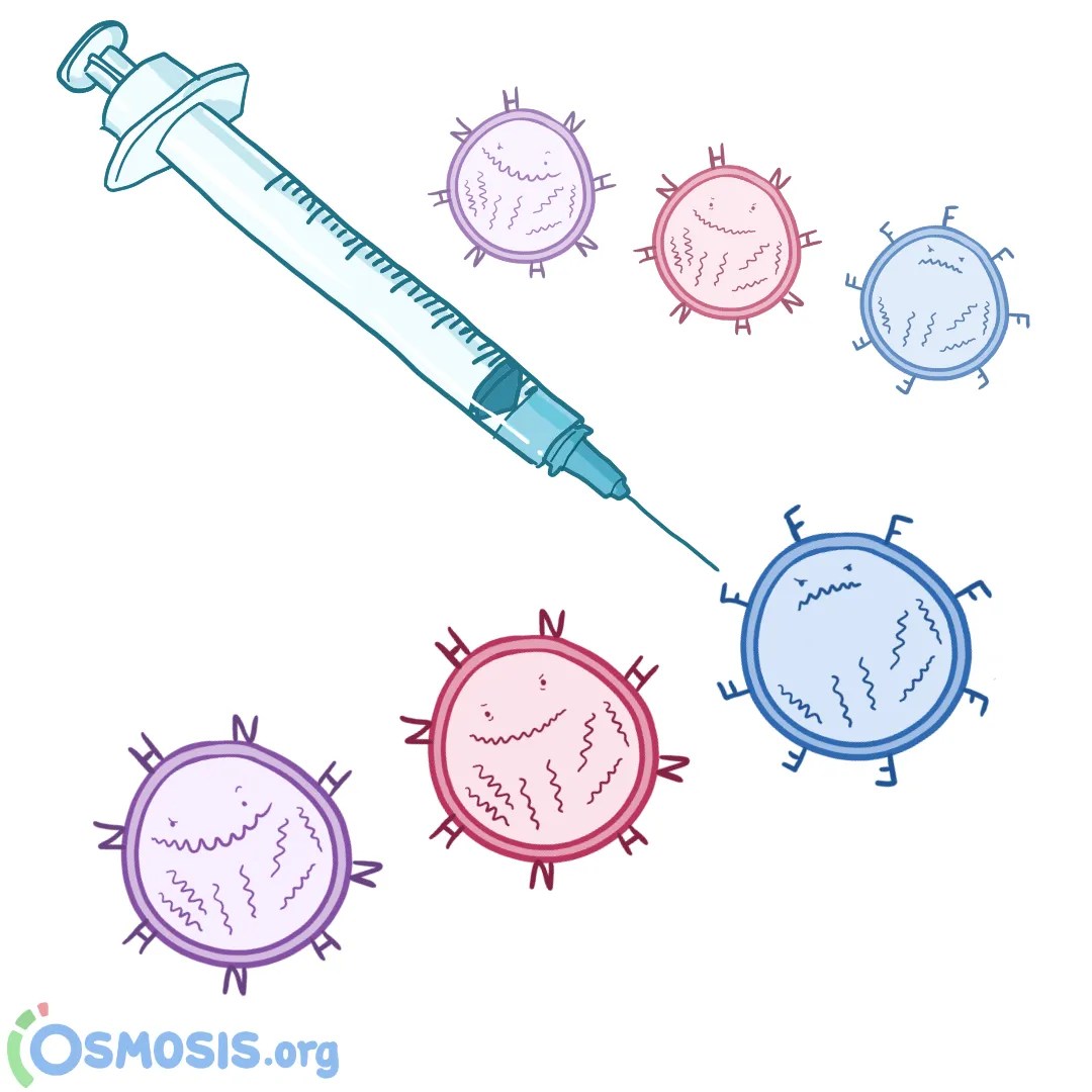The Flu Vaccine, Explained