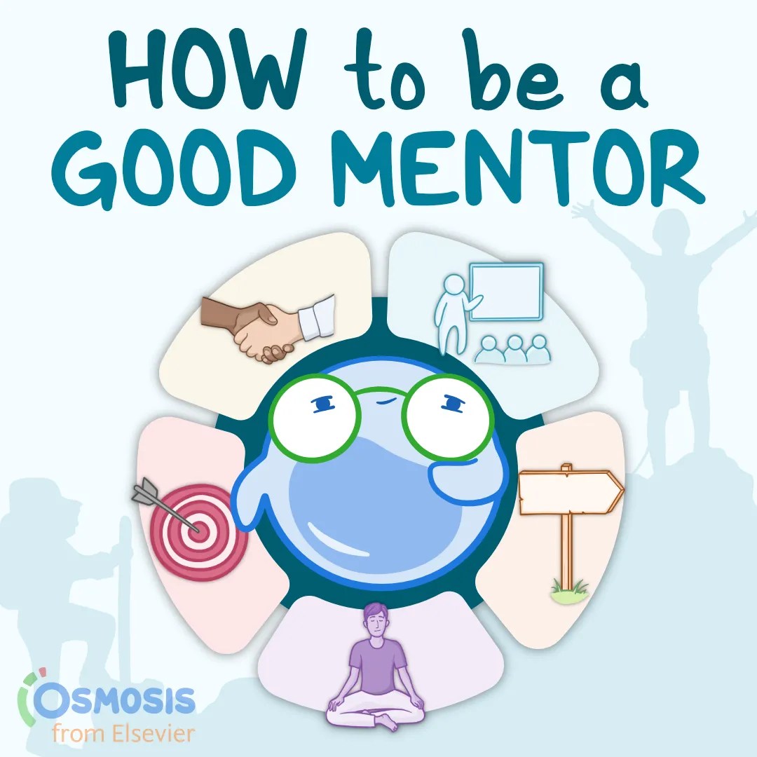 On The Mentorship Process and How To Be A Good Mentor [Infographic]