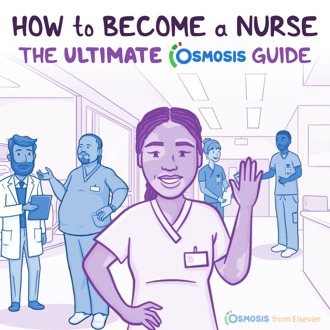 How to Become a Nurse: The Osmosis Ultimate Guide