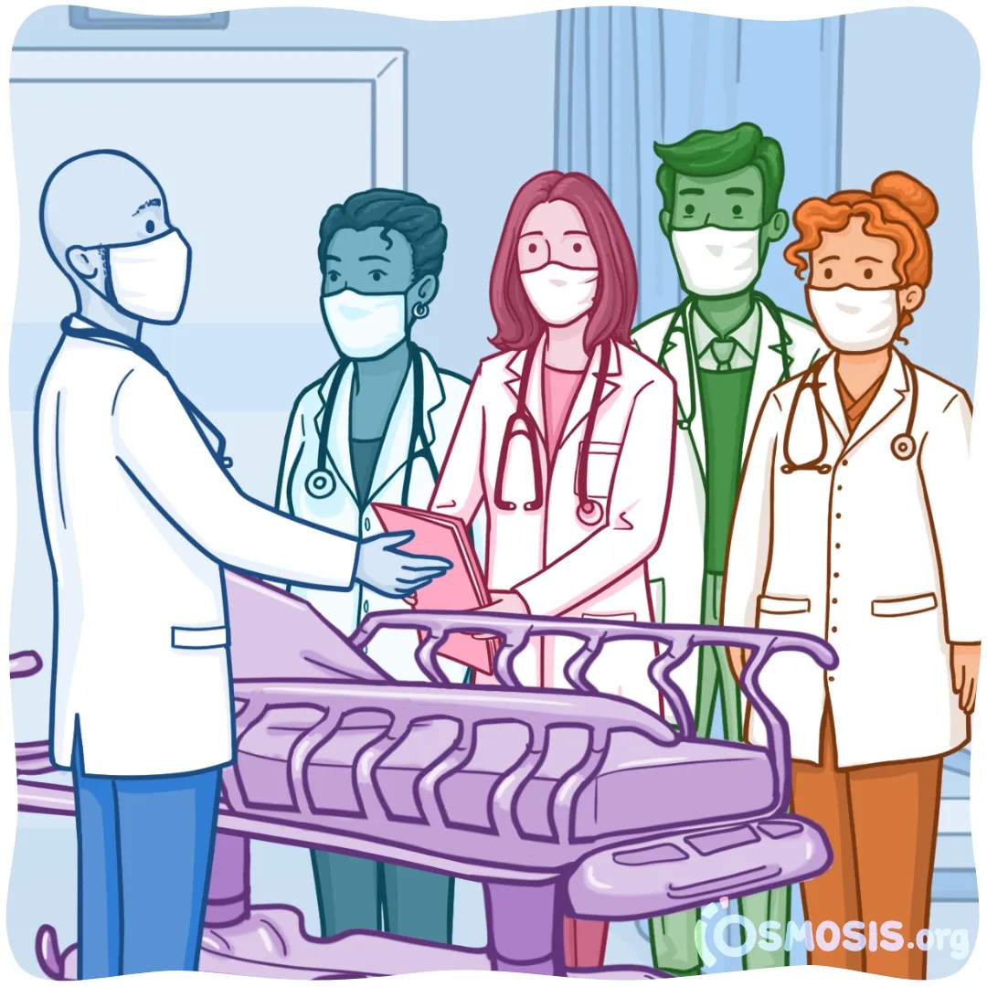 How to Thrive During Clinical Rotations and Make the Most of Your Time in the Clinic