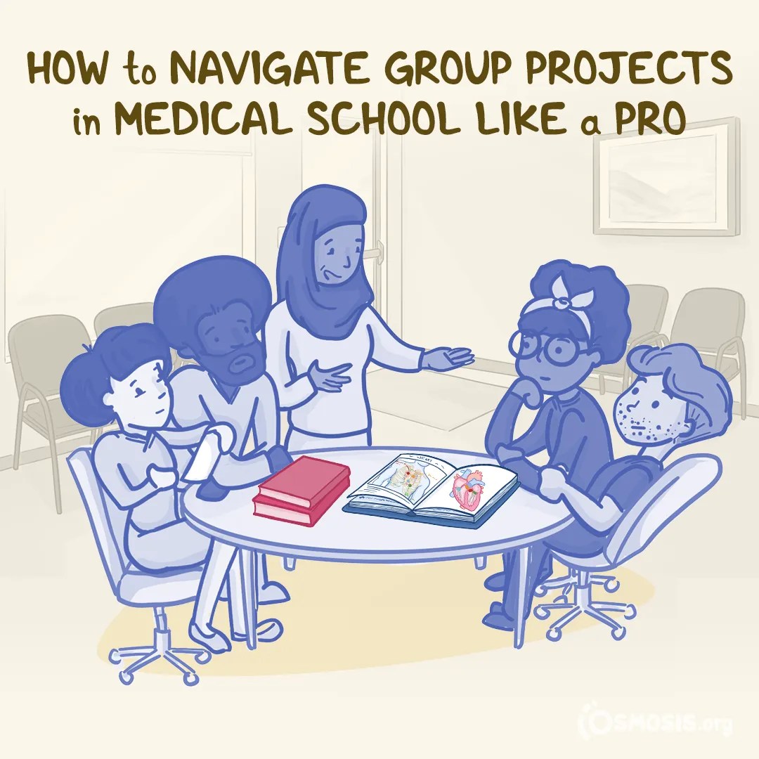 How to Navigate Group Projects in Medical School Like a Pro