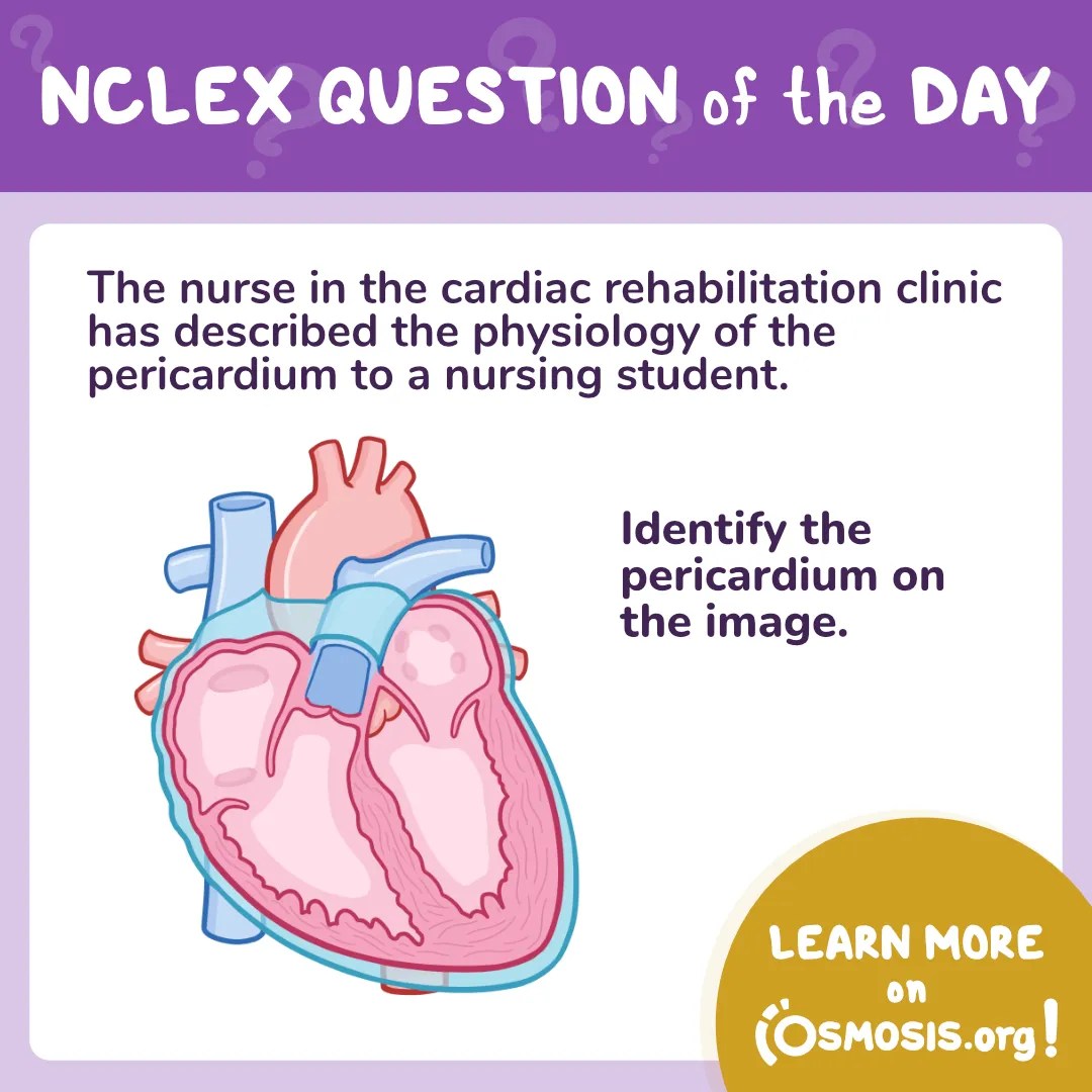 NCLEX-RN® Question of the Day: Pericardium
