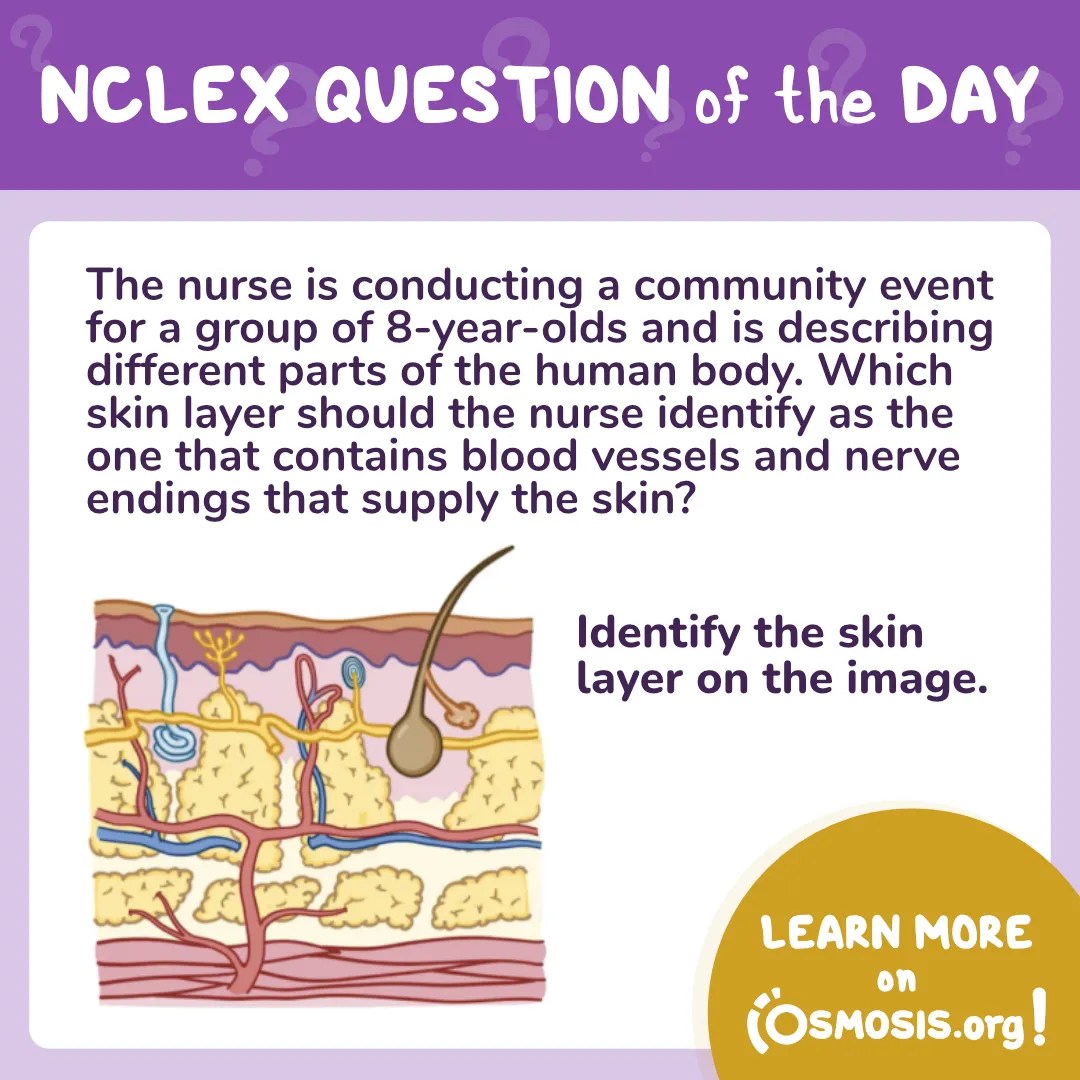 NCLEX-RN® Question of the Day: Skin layer