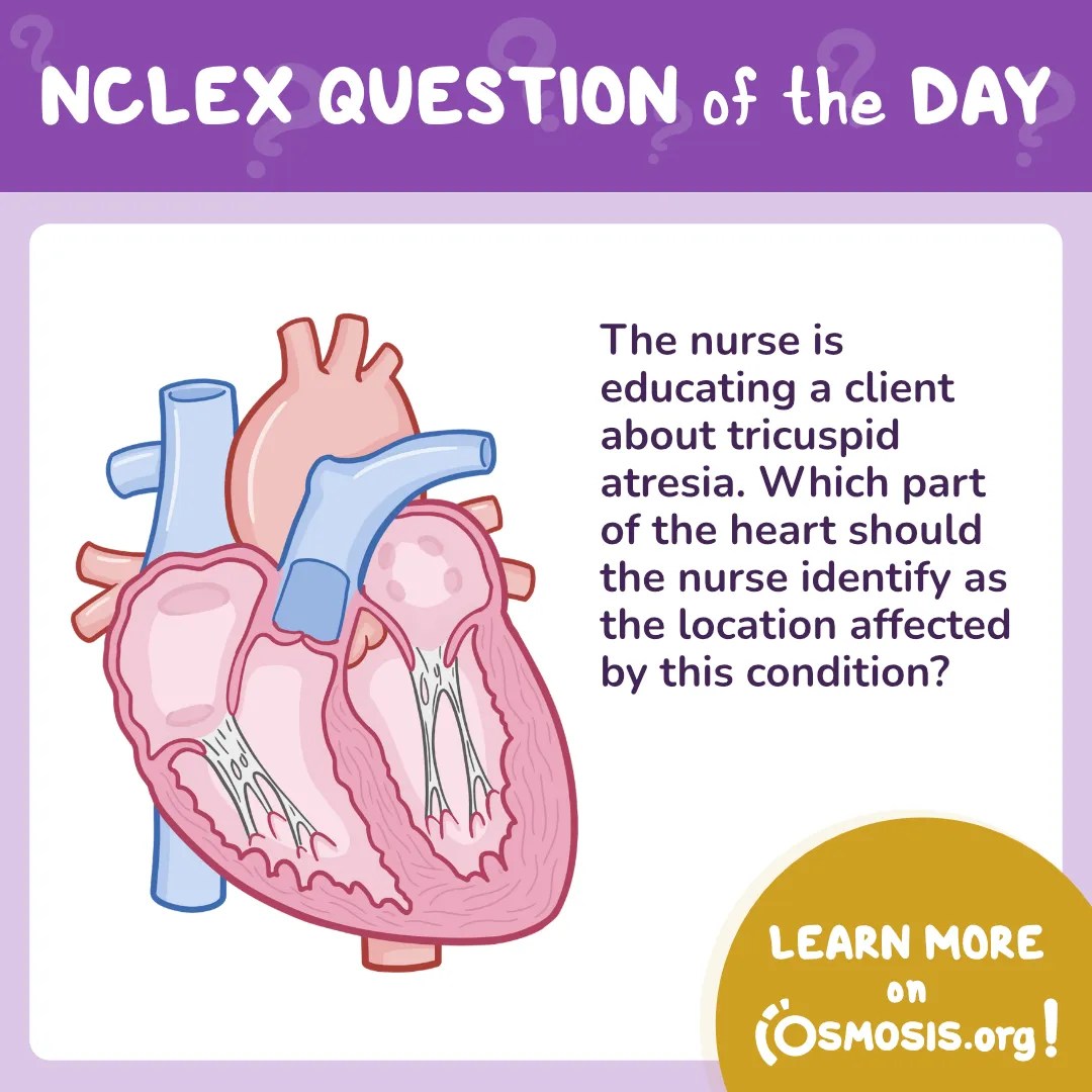 NCLEX-RN® Question of the Day: Tricuspid atresia