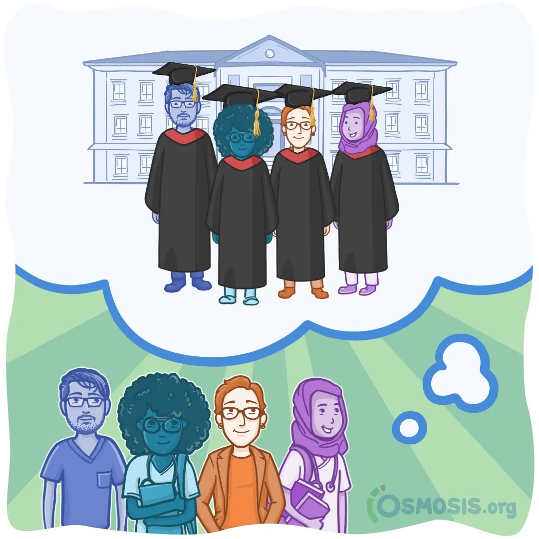 Your USMLE® Step 2 CK Questions Answered: The Osmosis Ultimate Guide