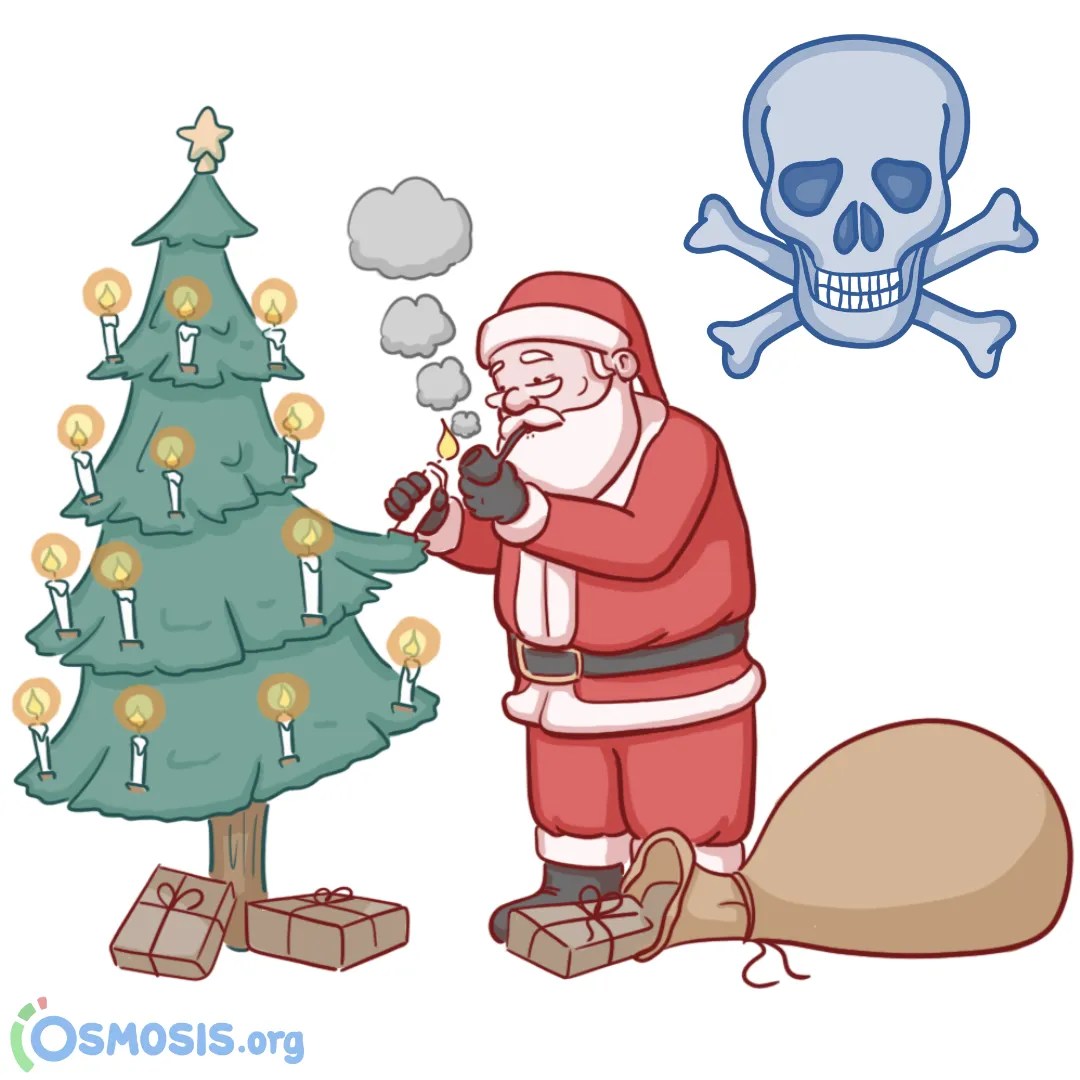 The 12 Hazards of the Holidays