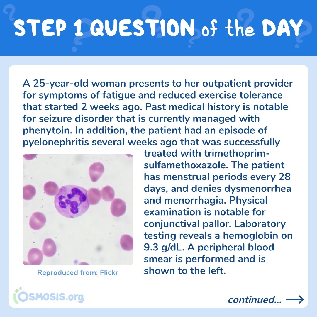 USMLE® Step 1 Question of the Day: Macrocytic Anemia