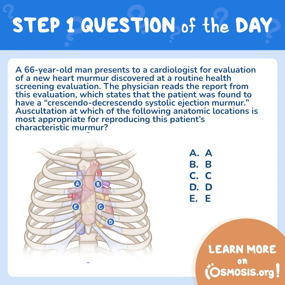 USMLE® Step 1 Question of the Day: Systolic ejection murmur