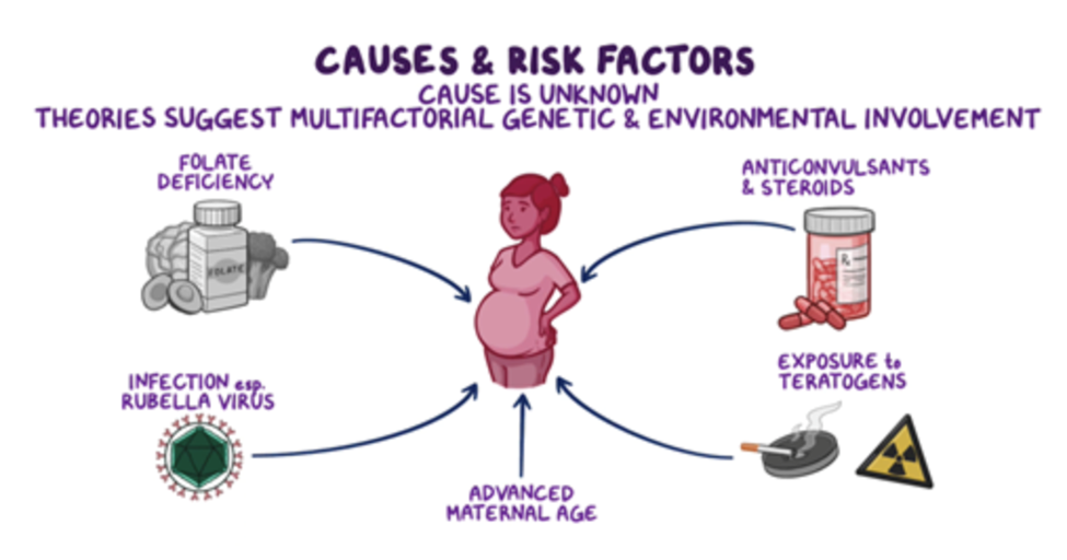 Title: CAUSES & RISK FACTORS
Cause is unknown
Theories suggest multifactorial genetic and environmental involvement
- Folate deficiency
- Infection, especially Rubella virus
- Advanced maternal age
_ Anticonvulsants and steroids
- Exposure to teratogens (e.g., smoking cigarettes, radiation)