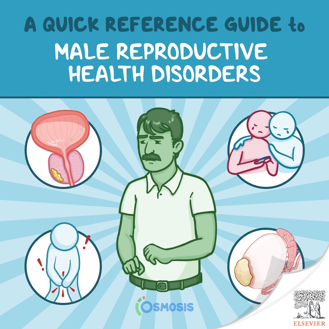 A Quick Reference Guide to Male Reproductive Health Disorders