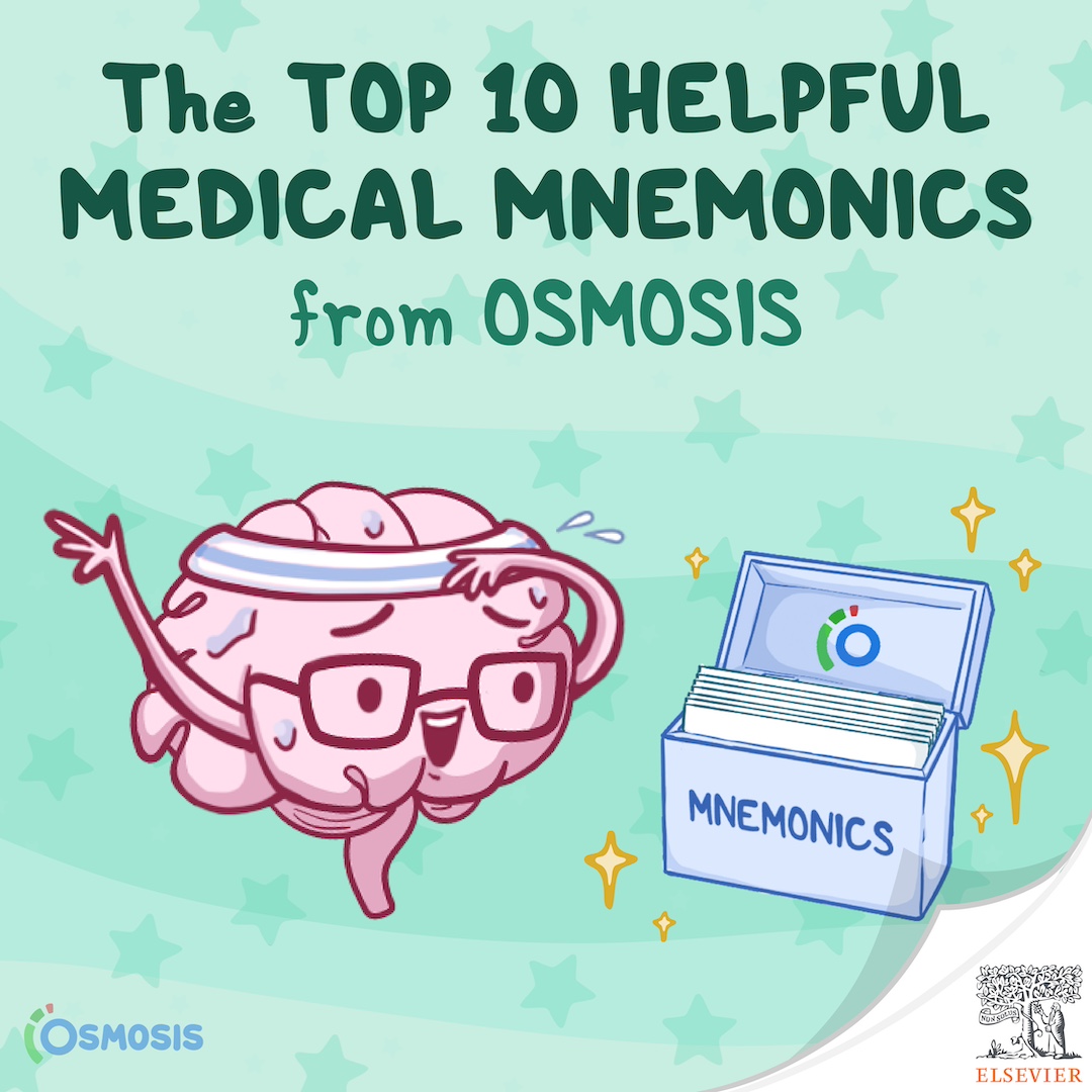 The Top 10 Helpful Medical Mnemonics from Osmosis