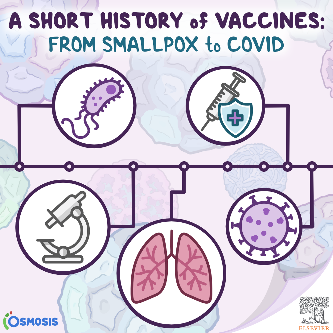 A Short History of Vaccines From Smallpox to COVID