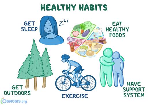 Osmosis.org style illustration showing healthy habits, including getting enough sleep, eating healthy foods, spending time outdoors, exercising, and having a support system.