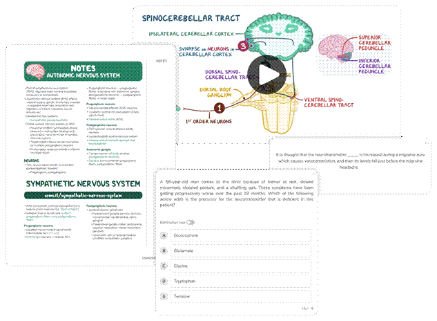 Osmosis.org style illustration showcasing medical study resources, including autonomic nervous system notes, a spinocerebellar tract video, a clinical question with multiple-choice answers, and a medical concept review card.
