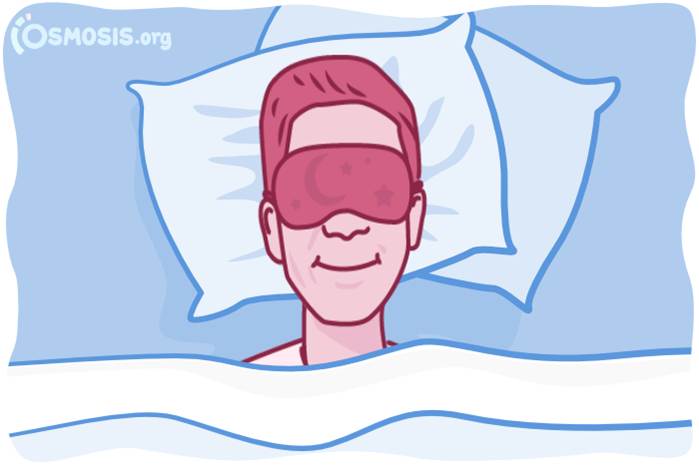 Osmosis.org style illustration of a person sleeping in bed while wearing a sleep mask, representing restful sleep and healthy sleep habits.