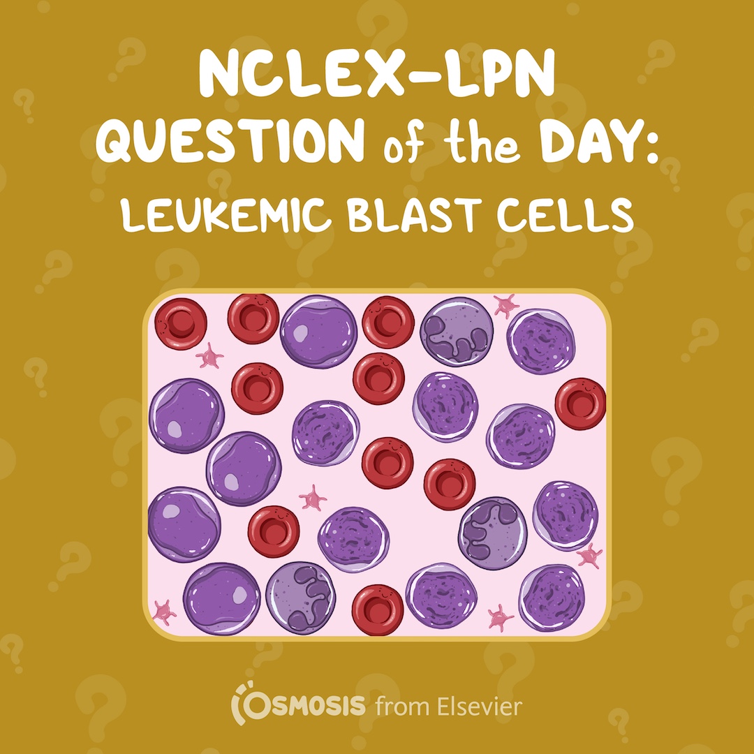 NCLEX LPN Question of the day leukemic blast cells