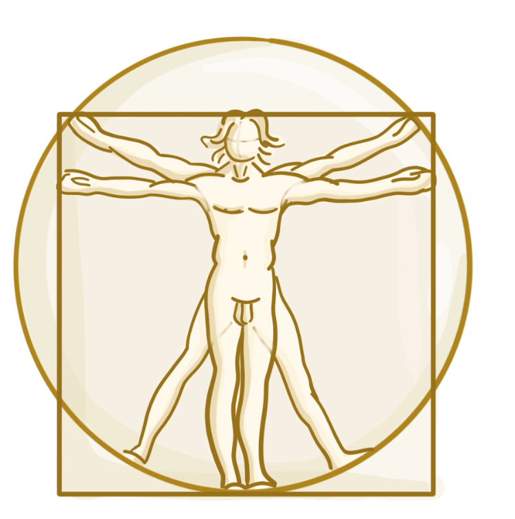Vitruvian Man by Leonardo da Vinci