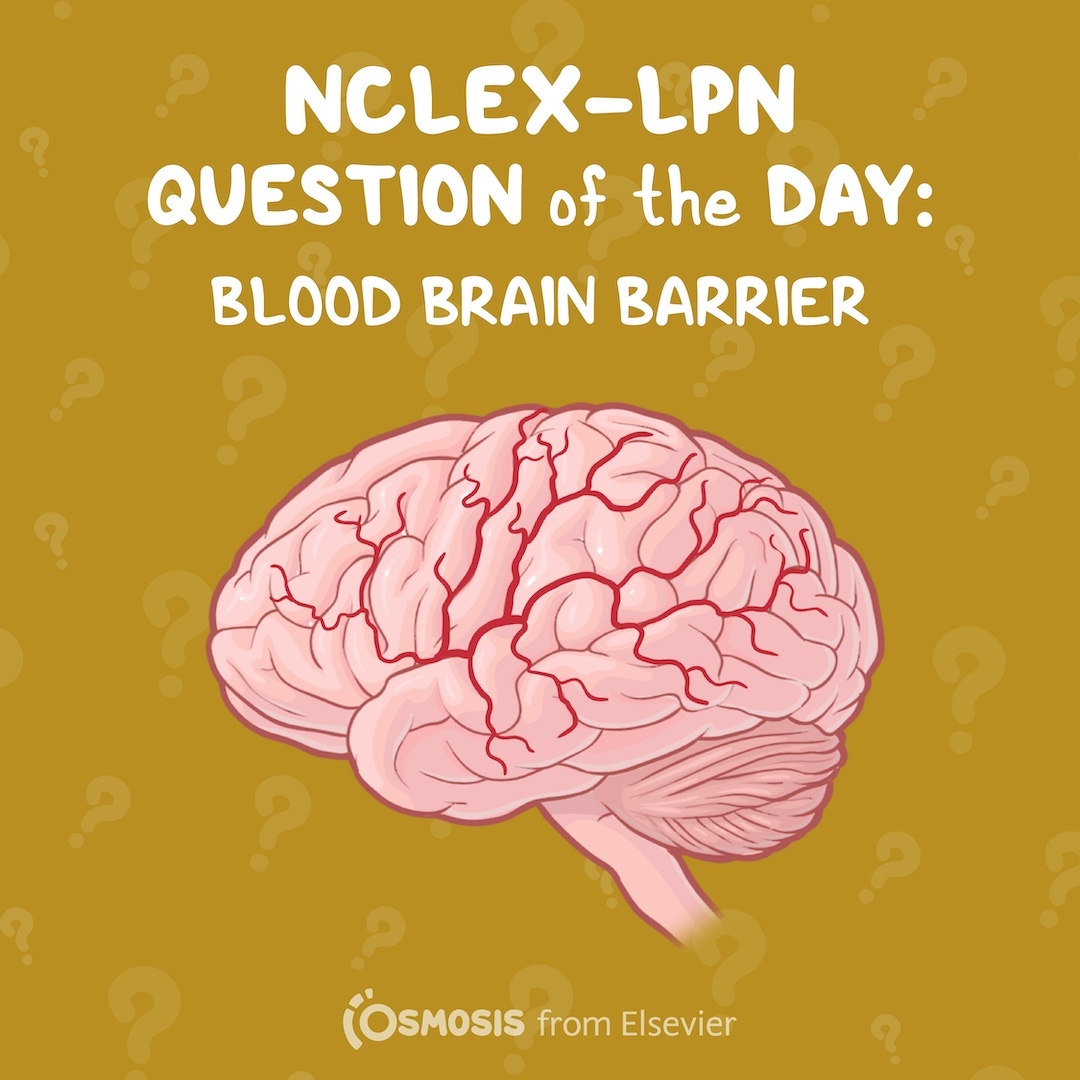 NCLEX-LPN® Question of the Day: Blood brain barrier