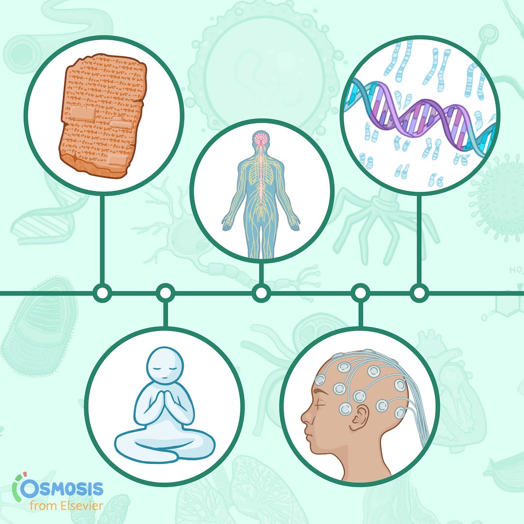 A History of Neurology: From Mysticism to Modern Medicine