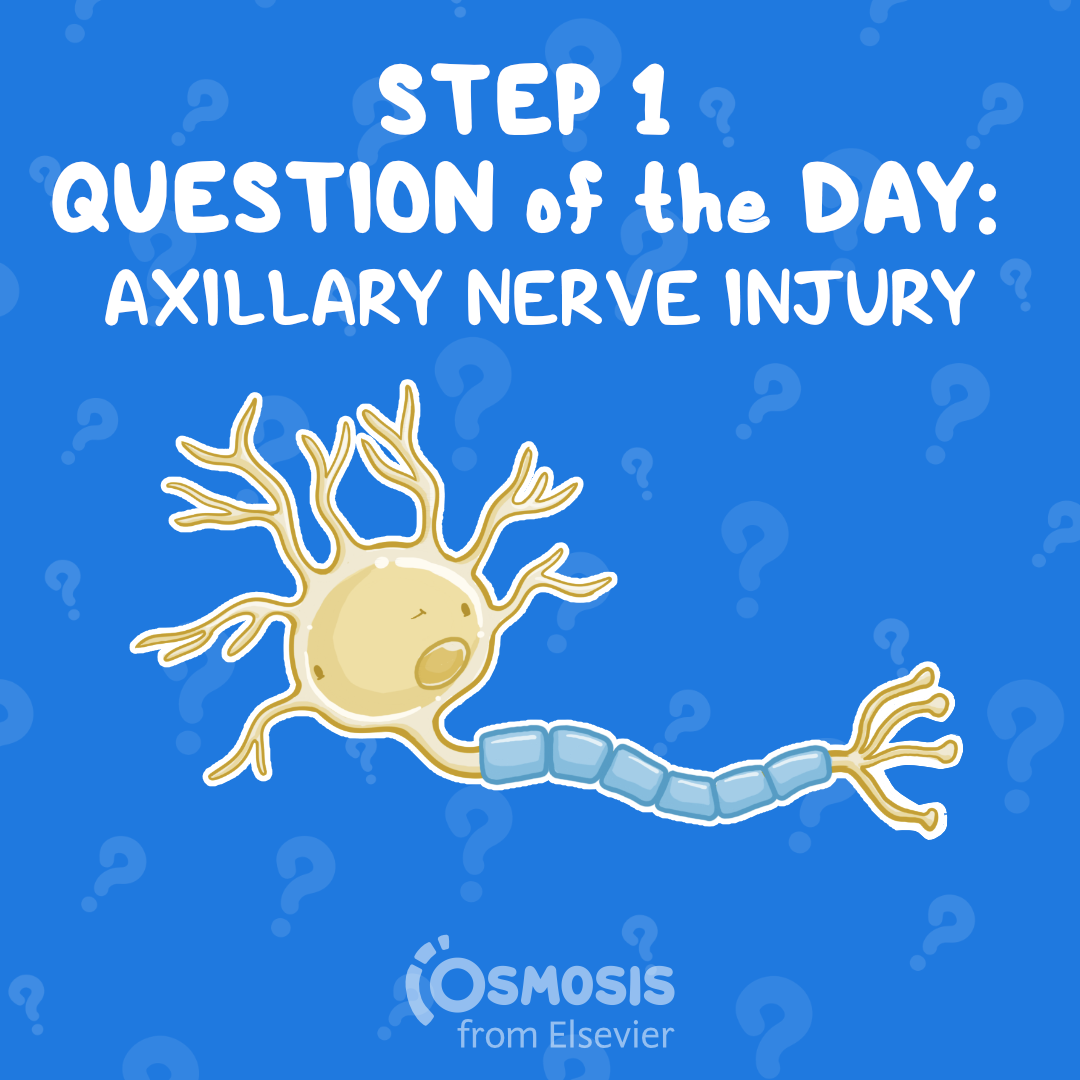 USMLE® Step 1 Question of the Day: Axillary nerve injury