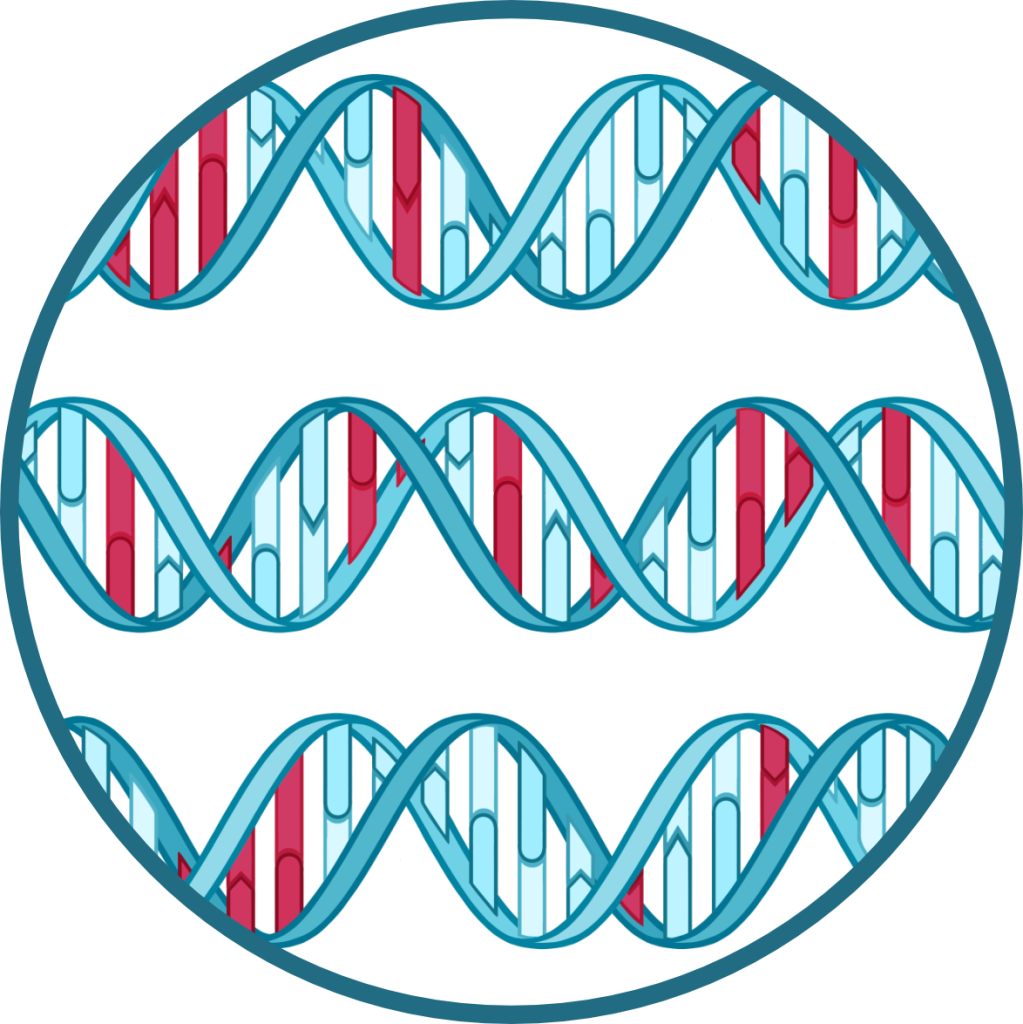 An illustration of a few DNA sequences.
