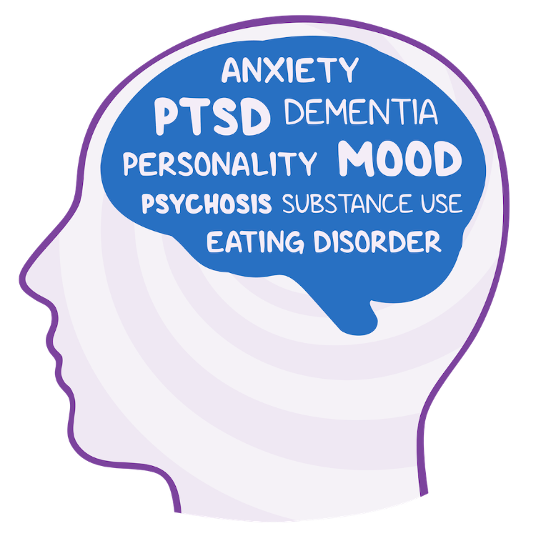 Illustration of a human head silhouette in profile with a blue brain shape inside containing words related to mental health conditions, including anxiety, PTSD, dementia, mood, personality, psychosis, substance use, and eating disorder.